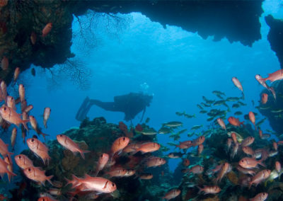 A Top Dive Destination